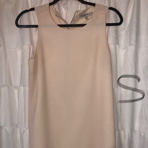 Naked Zebra blush dress